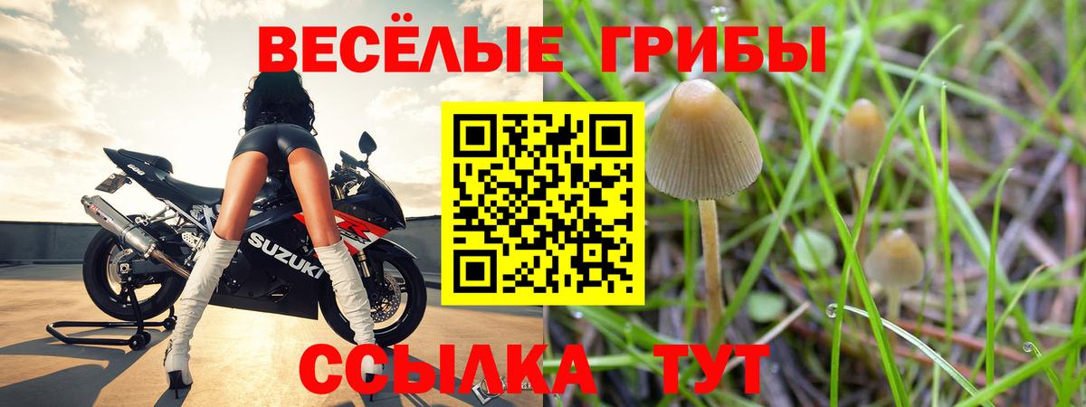 Псилоцибиновые грибы прущие грибы  Вход с VPN  где найти   Воскресенск 